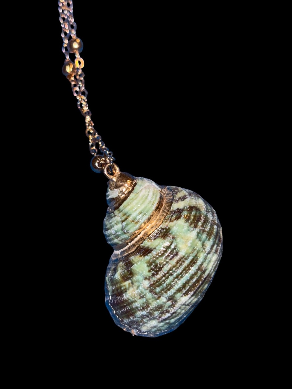 Gold-plated Trim Green Shell Pendant Necklace - Women Jewelry